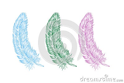 Vector hand drawn line art style feather for poster, banner, logo, icon. Set of colorful fluffy feathers on transparent background Cartoon Illustration