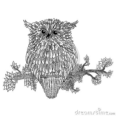 Vector hand drawn Owl sitting on branch. Black and white zentangle art. patterned illustration for antistress coloring Vector Illustration