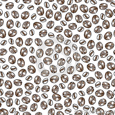 Vector hand drawn pattern of coffee seeds. Coffee beans seamless pattern on white background. Seamless coffe background Vector Illustration