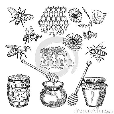 Vector hand drawn pictures of honey products Vector Illustration