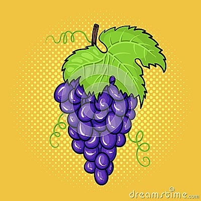 Vector hand drawn pop art illustration of bunch of grapes Vector Illustration