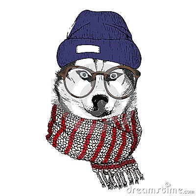 Vector hand drawn portrait of cozy winter dog. Siberian husky wearing knitted scarf, beanine andhipster glasses. Vector Illustration