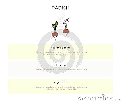 Vector hand drawn radish. Healthy nutrition, vegetarians, vegans. Vegetables. Vector Illustration
