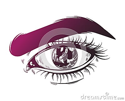 Vector hand drawn realistic illustration Vector Illustration