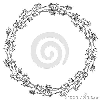 Vector hand drawn roses. Greeting, wedding invite template. Round frame border Vector Illustration