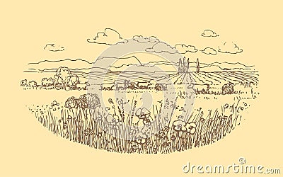 Vector hand drawn rural landscape with cows. Vector Illustration