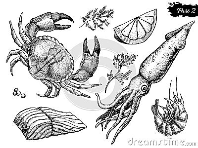 Vector hand drawn seafood set. Vintage illustration Vector Illustration