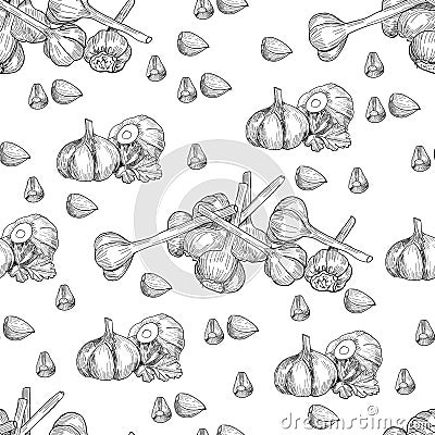 Vector hand drawn seamless pattern of garlic. Stylized black and white sketch of a bundle of garlic groves tied with Vector Illustration