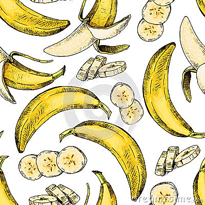 Vector hand drawn seamless pattern of isolated banana. Engraved colored art. Delicicous tropical vegetarian objects. Vector Illustration