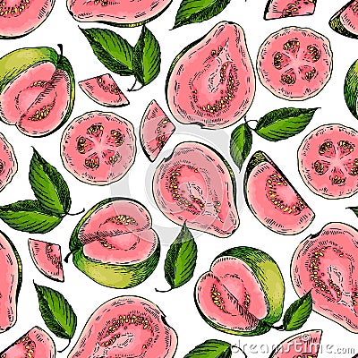 Vector hand drawn seamless pattern of isolated guava. Engraved colored art. Delicicous tropical vegetarian objects. Vector Illustration