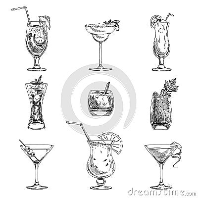 Vector hand drawn set of cocktails and alcohol Vector Illustration