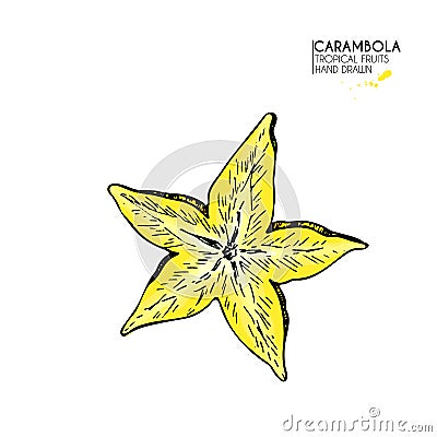 Vector hand drawn set of exotic fruits. Isolated carambola star slice. Engraved colored art. Delicious tropical Vector Illustration