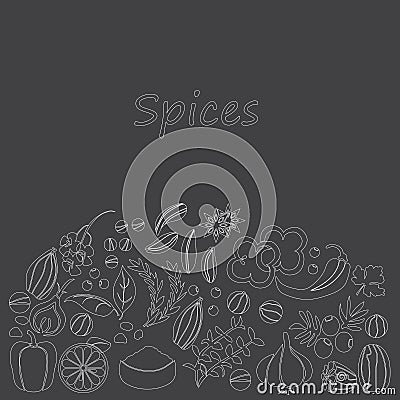 Vector hand drawn set with Herbs Spices Vector Illustration