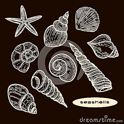Seashells illustration seamless brown set Vector Illustration