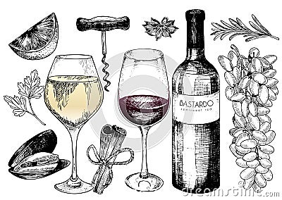 Vector hand drawn set of wine and apetizers. Grape, bottle, wineglass, rosemary, corckscrew, lime, mussel, spices. Vector Illustration