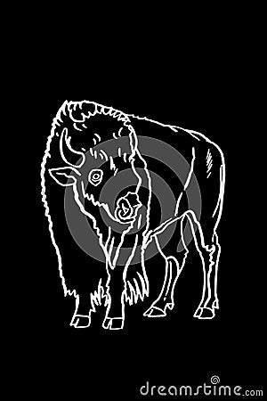 Vector hand drawn sketch of bison on black,graphical illustration. Bull Vector Illustration