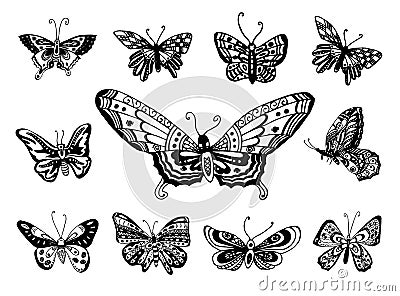 Vector Hand drawn sketch of butterfly illustration on white background Vector Illustration