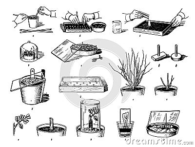 Vector Hand drawn sketch of plants care process illustration on white background Vector Illustration