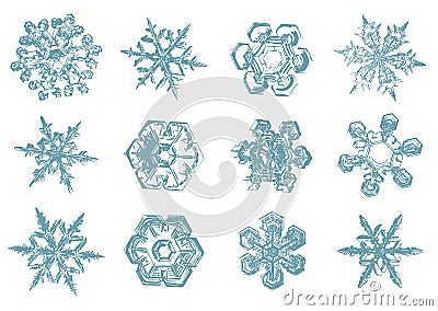 Vector Hand drawn sketch of snowflakes illustration on white background Vector Illustration