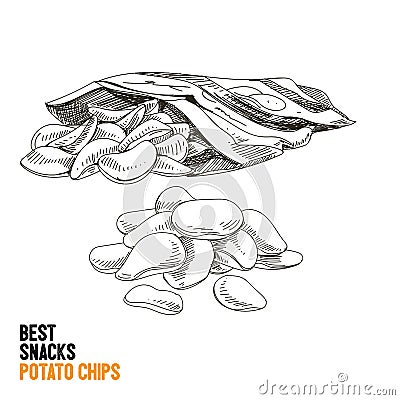 Vector hand drawn snack and junk food Illustration. Vector Illustration