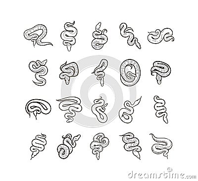 Vector hand drawn snake sign symbol illustration on white background Vector Illustration