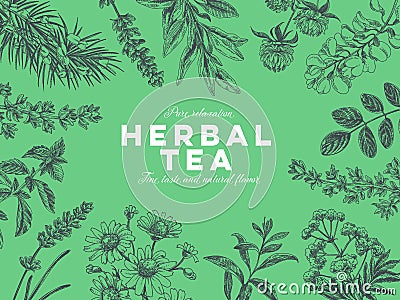 Vector hand drawn tea herb Illustration. Vector Illustration