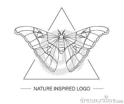 Vector hand drawn tropical atlas moth in a triangle Vector Illustration