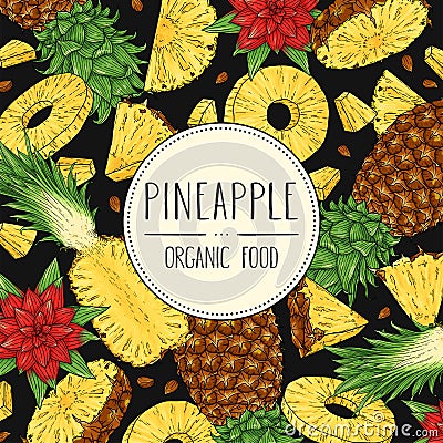 Vector hand drawn tropical banner with pineapple Vector Illustration
