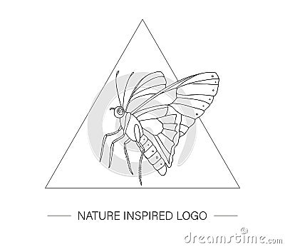 Vector hand drawn tropical butterfly in a triangle Vector Illustration