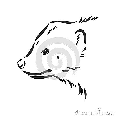vector hand sketch drawing illustration of a wolverine done in black and white Vector Illustration