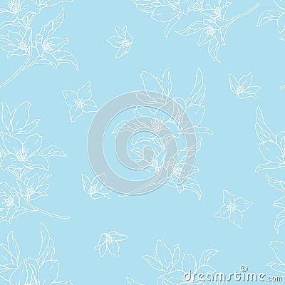 Vector handwork illustration. Drawing of blooming white flowers on a blue background. Seamless pattern with jasmines for textiles Vector Illustration