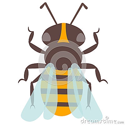 Vector happy cartoon bee flying delicious honey insect isolated animal Stock Photo