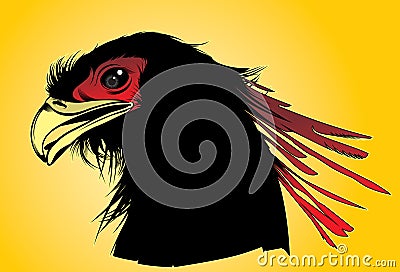 Vector head of phoenix Vector Illustration