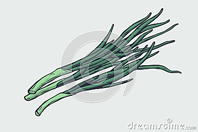 Vector healthy food illustration. Scallions hand drawn sign. Good for leaflets, cards, posters, prints, menu. Vector Illustration