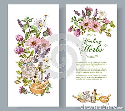 Vector herbal banner Vector Illustration