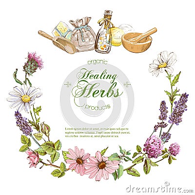 Vector herbal banner Vector Illustration