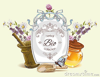 Vector herbal banner Vector Illustration