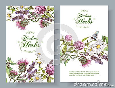 Vector herbal banners Vector Illustration