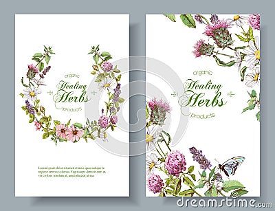 Vector herbal banners Vector Illustration