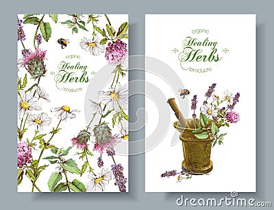 Vector herbal banners Vector Illustration