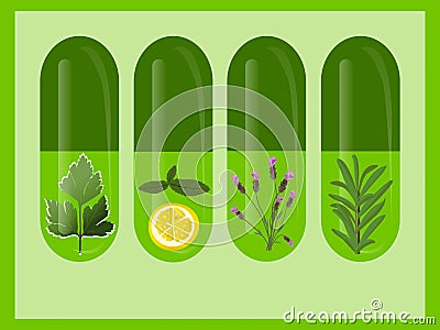 Vector Herbal Medicine Stock Photo