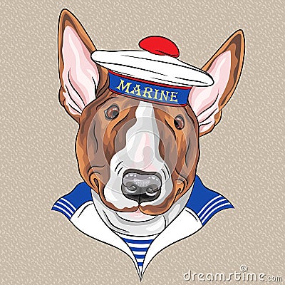 Vector hipster dog Bullterrier sailor Vector Illustration
