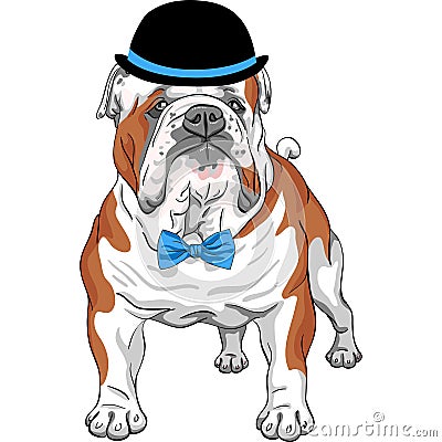 Vector hipster dog English Bulldog breed Vector Illustration