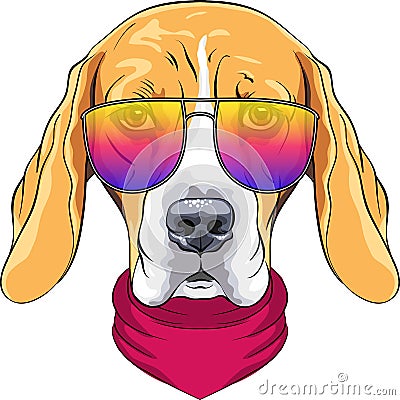 Vector hipster serious dog Beagle in glasses Vector Illustration