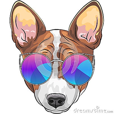 Vector hipster serious dog Beagle in glasses Vector Illustration
