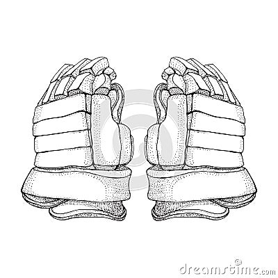 Vector hockey gloves. Isolated hockey gloves on white background. Ice hockey sports equipment. Hand drawn Ice hockey Vector Illustration