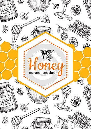 Vector honey bee hand drawn illustrations. Honey banner, poster Vector Illustration