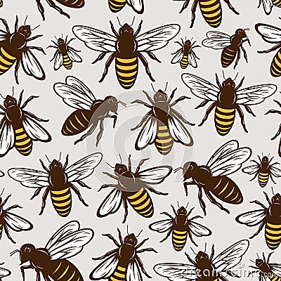 Vector honey bee seamless pattern or background Vector Illustration