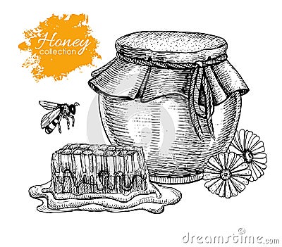 Vector honey vintage illustration. Hand drawn. Vector Illustration