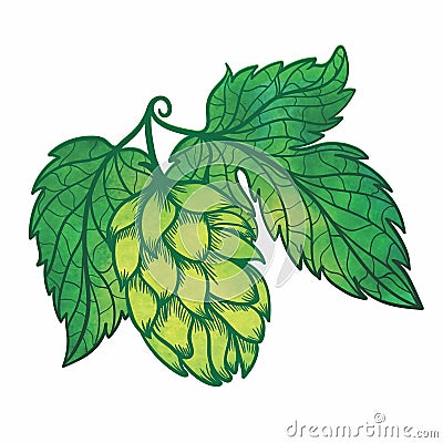 Vector Hops Icon Vector Illustration